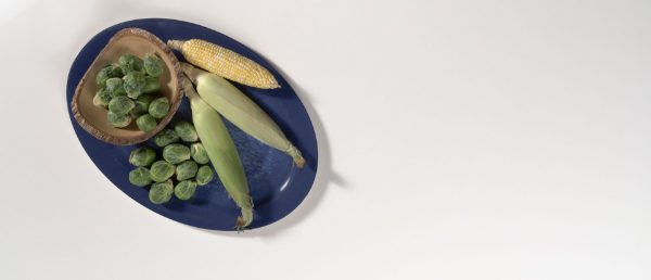 Arctic White Q Surface in a Culinary Vignette