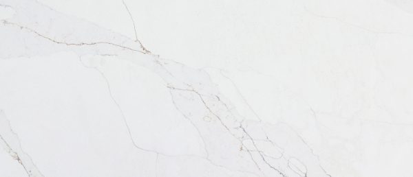 Calacatta Abezzo Q Surface Close-Up Detail Sample