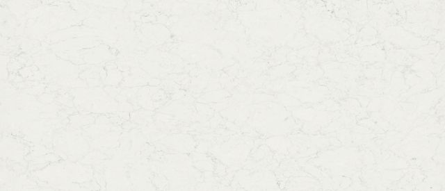 Calacatta Aidana — MSI Q Quartz quartz