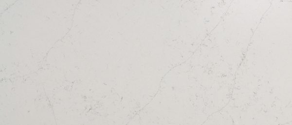 Calacatta Botanica Quartz Sample