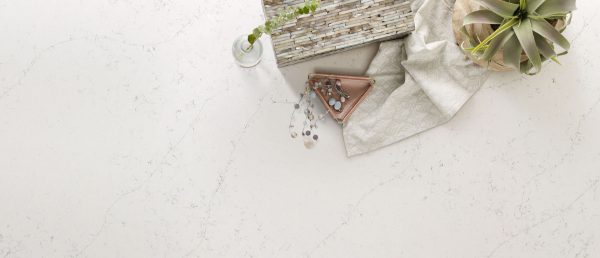 Calacatta Botanica Quartz Countertop Sample