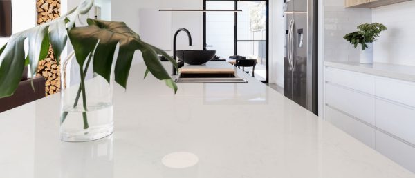 Calacatta Botanica Quartz Countertop in Kitchen