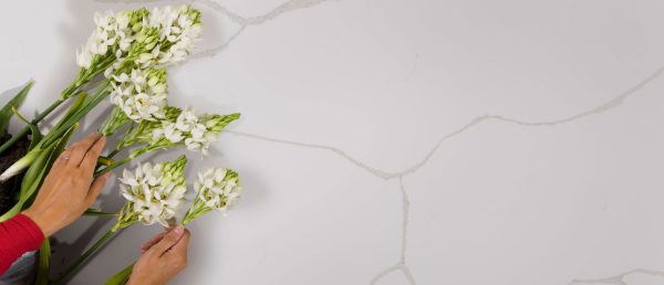 Calacatta Classique Quartz Countertop with a Decorative Vignette
