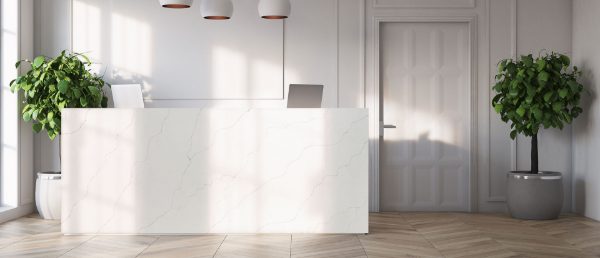 Calacatta Duolina Quartz Countertop in Counter Area
