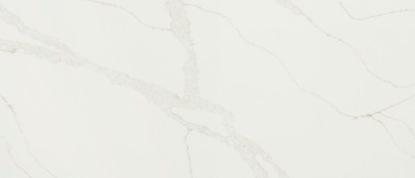 Calacatta Elysio Q Surface Sample