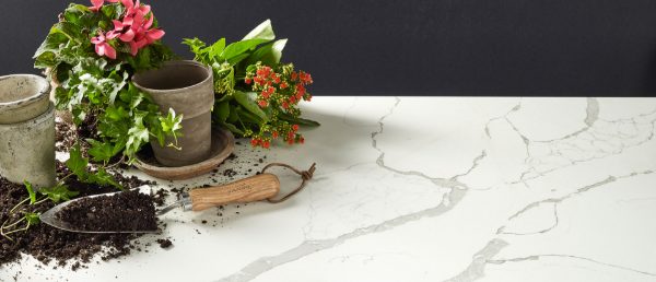 Calacatta Laza Q Surface in Decorative Vignette