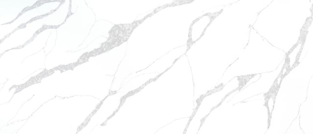 Calacatta Leon — MSI Q Quartz quartz