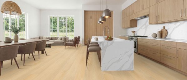 Calacatta Luccia Quartz Countertop