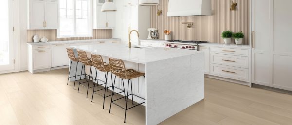 Calacatta Miraggio Cove Quartz Countertop