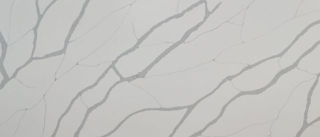 Calacatta Sierra — MSI Q Quartz quartz