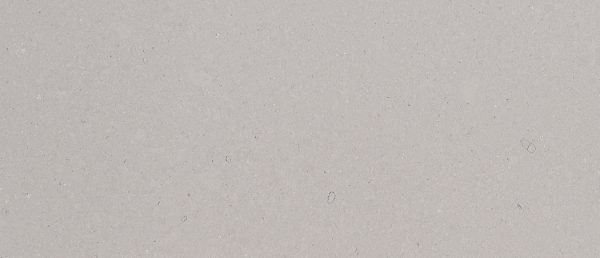 Fossil Gray Matte Quartz Sample