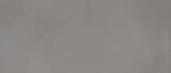 Fossil Gray Quartz Slab