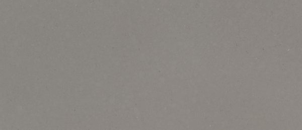 Fossil Gray Quartz Sample
