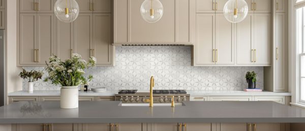 Fossil Gray Quartz Vignette