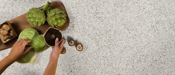 Peppercorn White Quartz Countertop with a Culinary Vignette