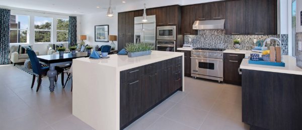 Perla White Quartz Countertop in Kitchen