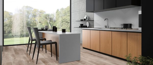 Smoked Pearl Quartz Countertop in Kitchen