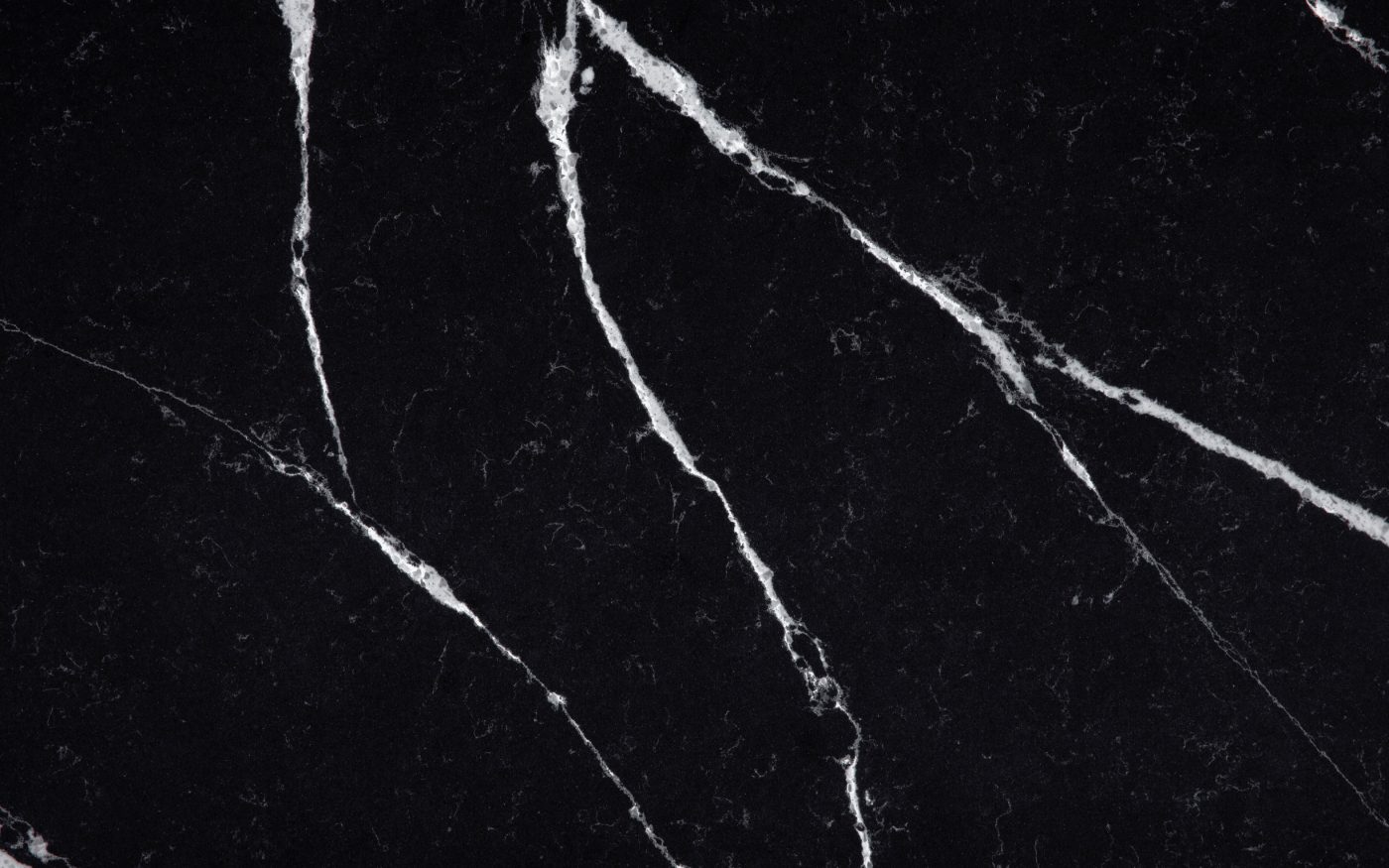 Et Marquina close-up 1