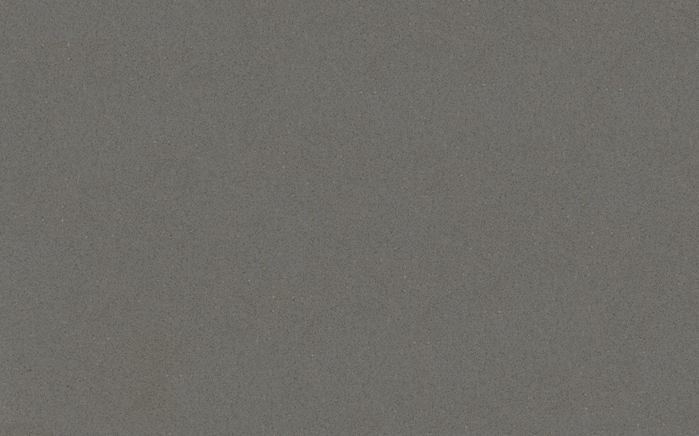 Grey Expo close-up 1