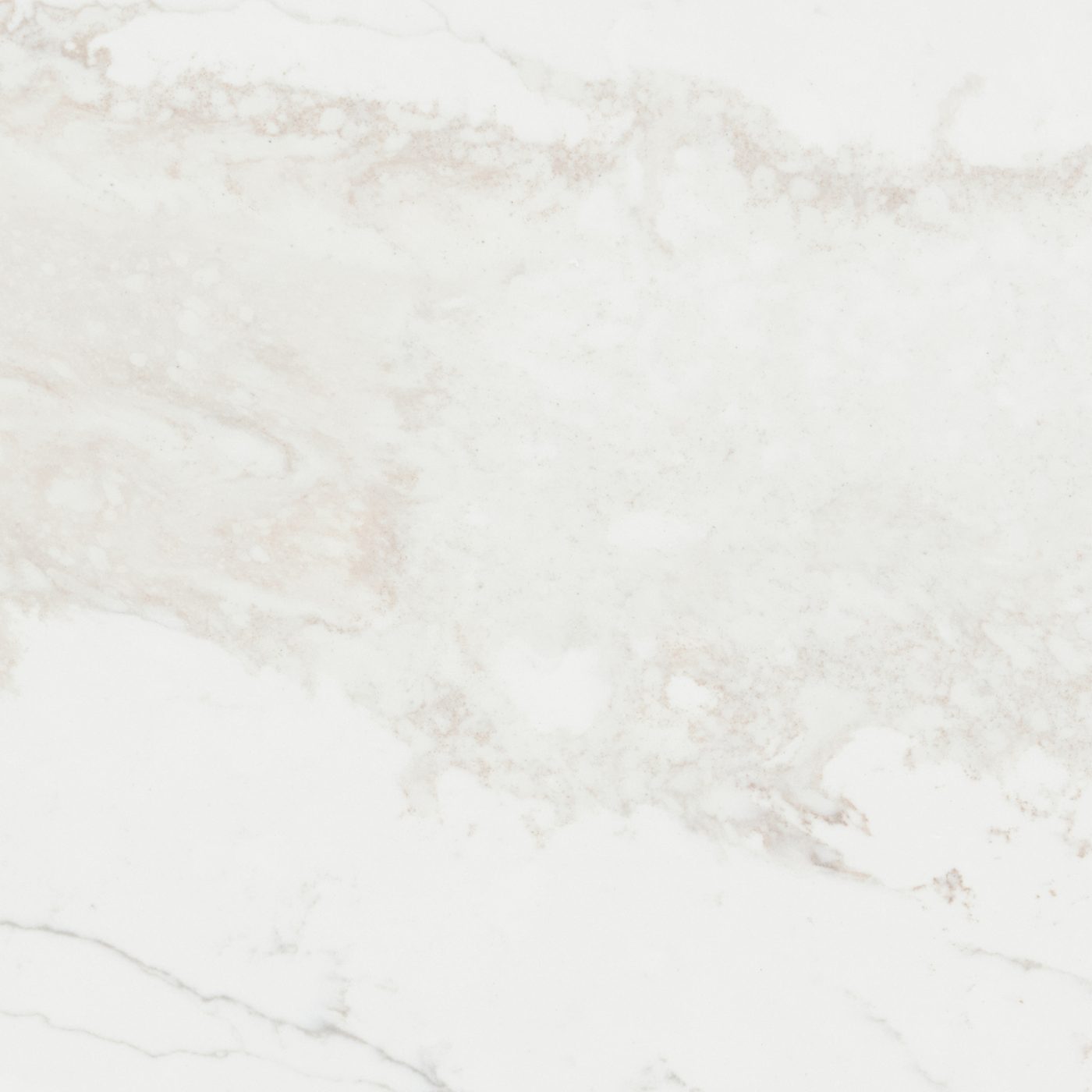 Solea close-up 1
