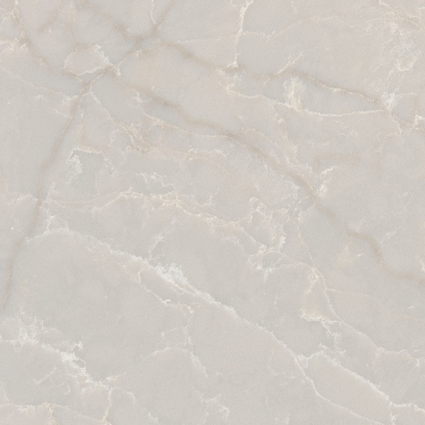 Taj Crema close-up 1
